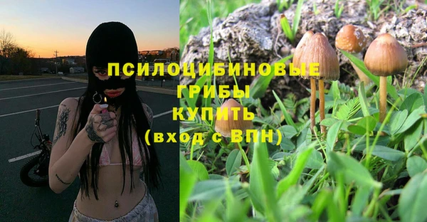дживик Инсар