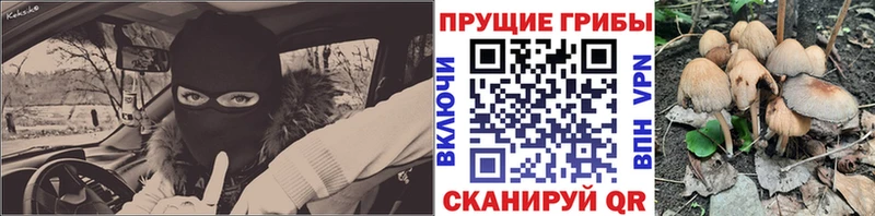 Галлюциногенные грибы Cubensis  где можно купить наркотик  mega зеркало  Алдан 